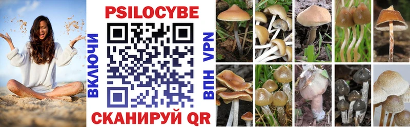Псилоцибиновые грибы Cubensis  Электросталь 